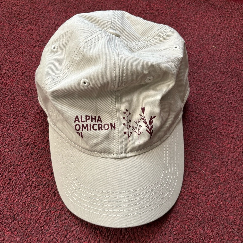 AOII Alpha Omicron Pi tultex hat